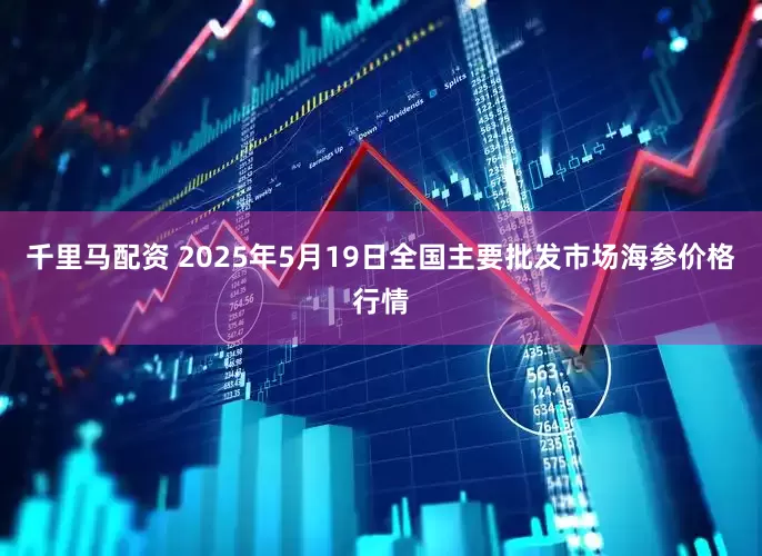 千里马配资 2025年5月19日全国主要批发市场海参价格行情