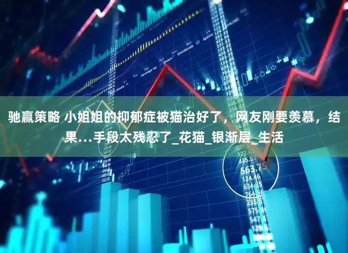 驰赢策略 小姐姐的抑郁症被猫治好了，网友刚要羡慕，结果…手段太残忍了_花猫_银渐层_生活