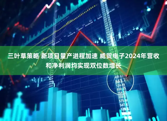 三叶草策略 新项目量产进程加速 威贸电子2024年营收和净利润均实现双位数增长